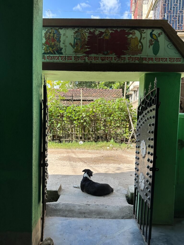 WhatsApp Image 2025-09-06 at 16.43.09_4dfe7931